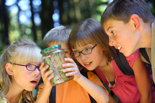 Picture of kids amazed by an animal in a jar