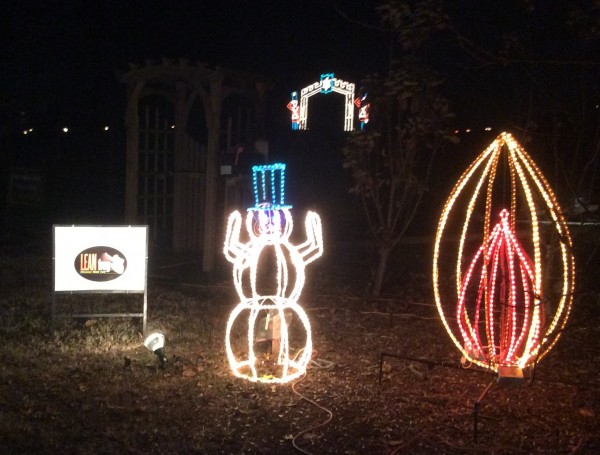 LEAN Frog proudly Sponsors the Galaxy of Lights