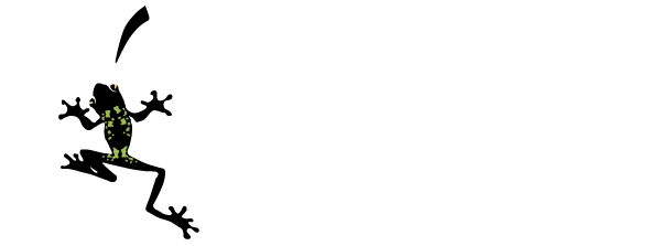 LEAN Frog Consulting Services Logo